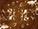 Hostatint Umber KT 533