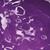 Licosperse Violet 30